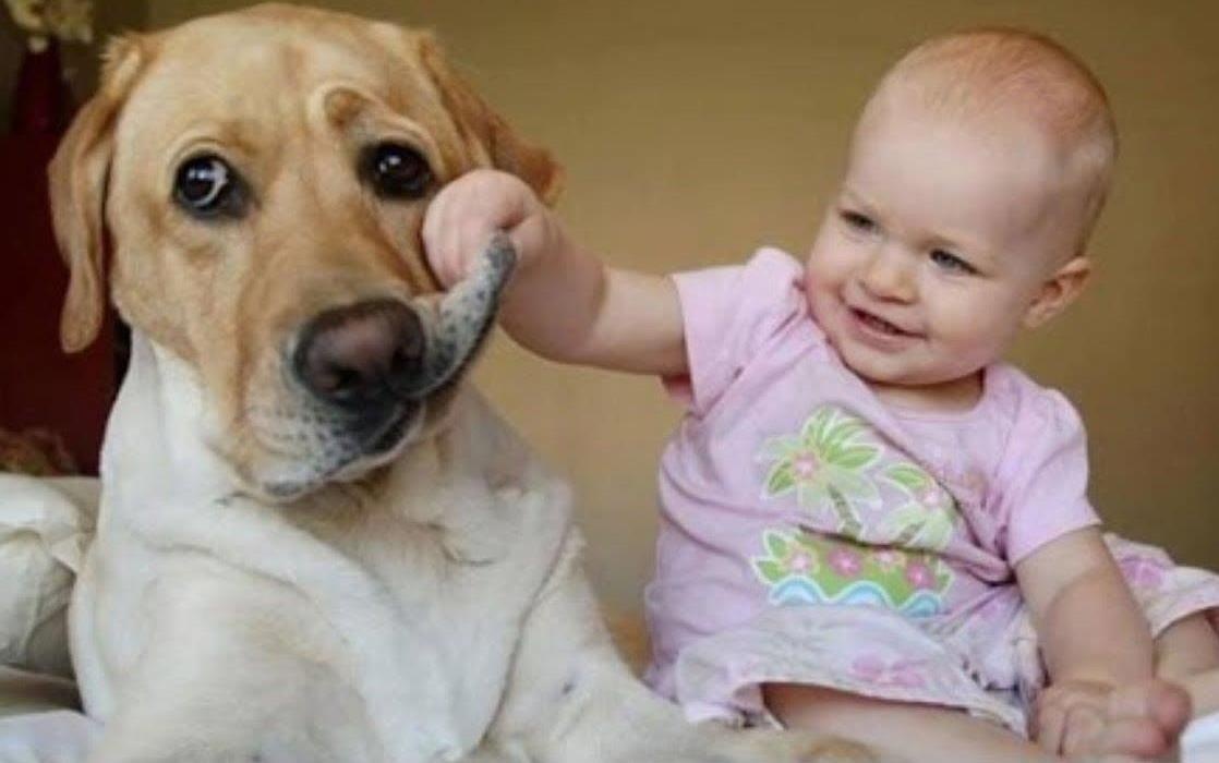 Tan chay voi nhung khoanh khac dang yeu cua tre con voi thu cung hinh anh