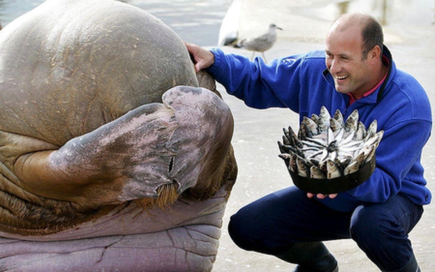 Nhung tinh huong xau ho khien ban 'chi muon len dia bay roi Trai dat' hinh anh