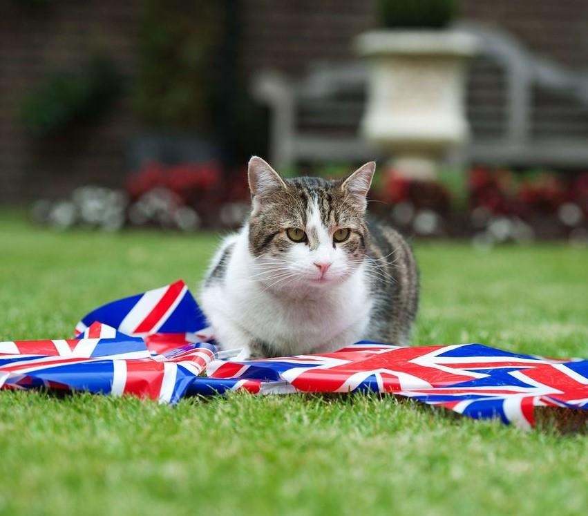 thu cung noi tieng anh 2