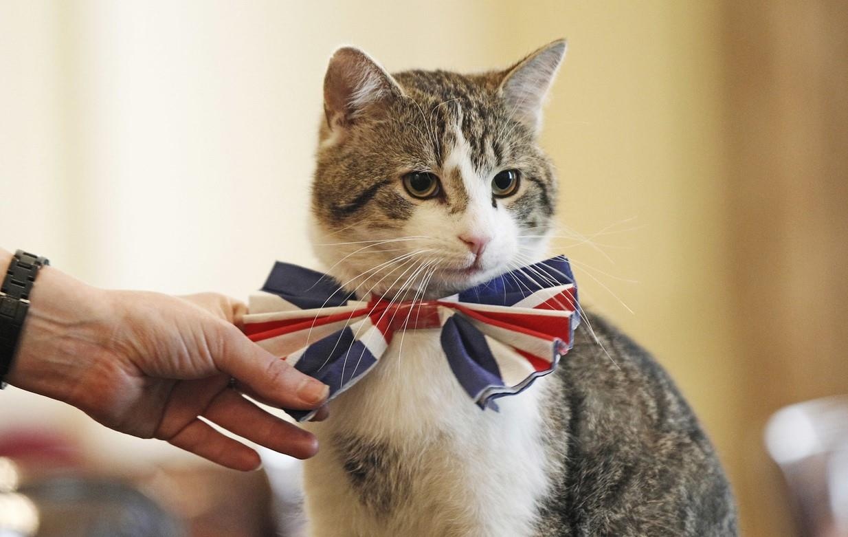 thu cung noi tieng anh 1