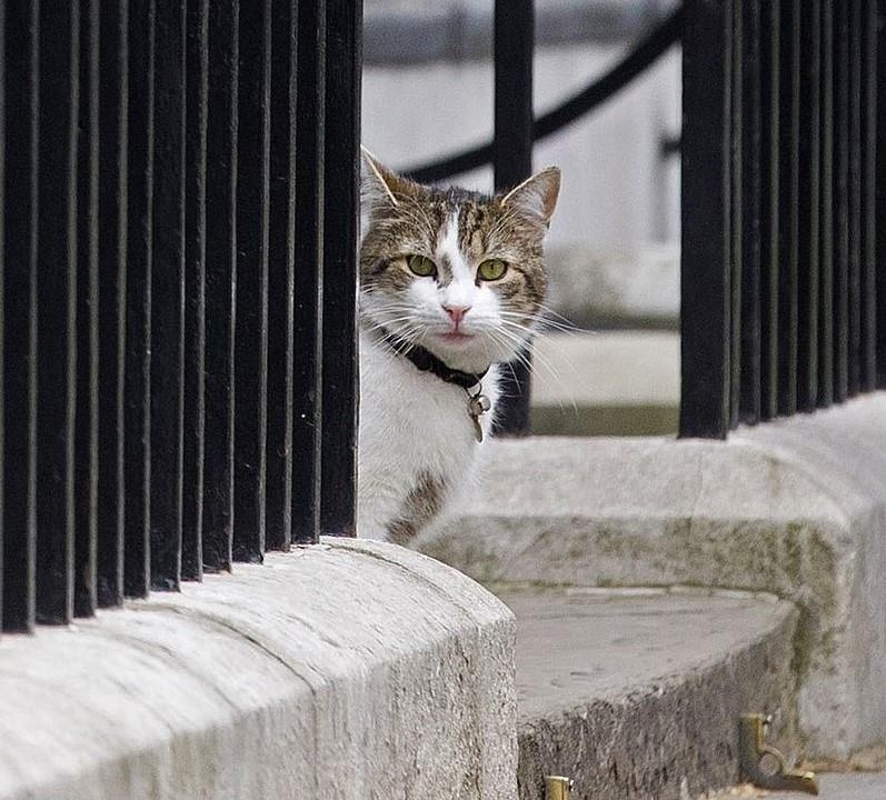 thu cung noi tieng anh 3