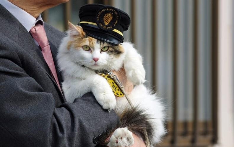 thu cung noi tieng anh 13