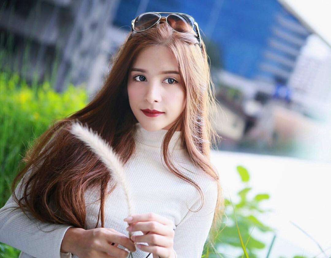 Dan bong hong lai thai lan noi tieng o viet nam anh 4