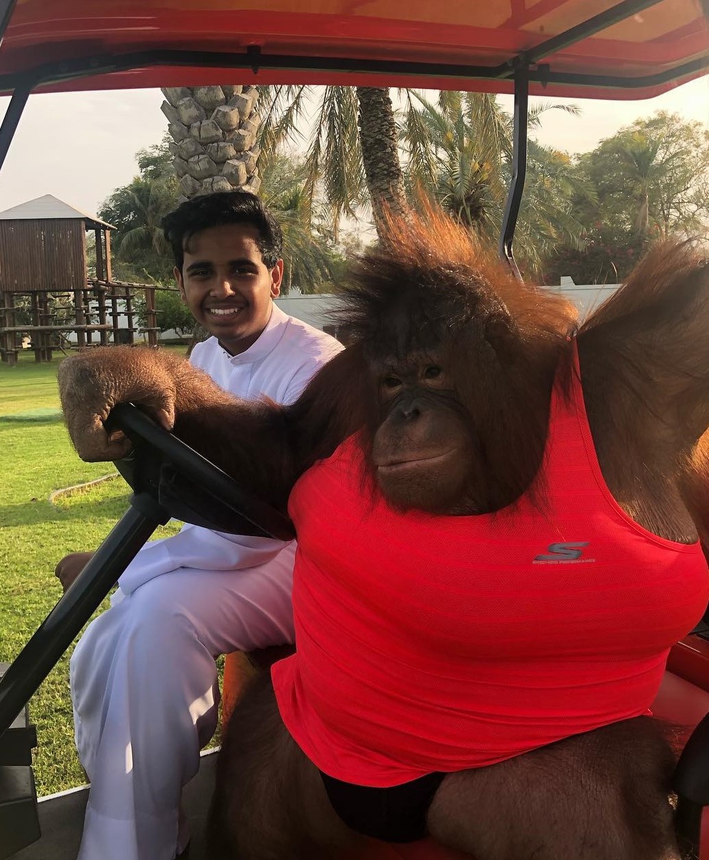 Rich kid Dubai anh 11