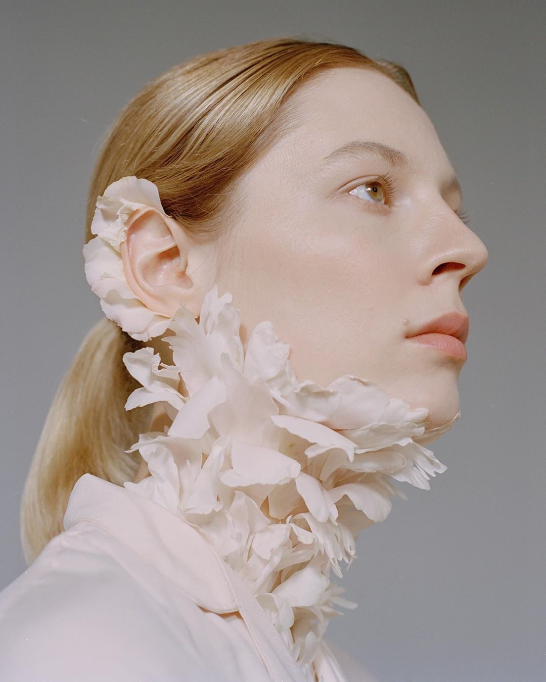 trang diem bang rau cu anh 8