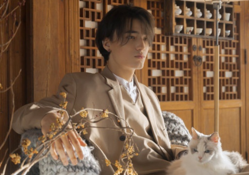 Dan mau Tay xuat hien trong MV cua ca si Viet trong nam 2019 hinh anh