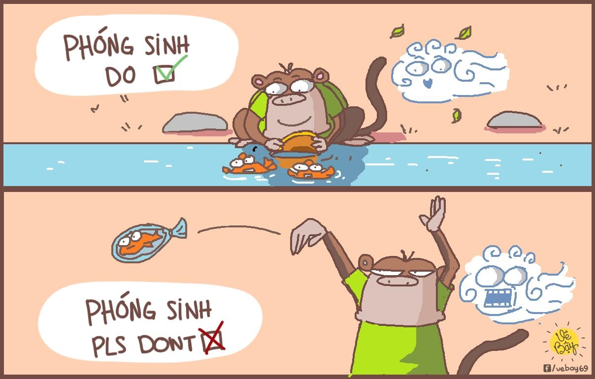 Dan mang che anh ngay tha ca chep tien ong Tao ve troi anh 4