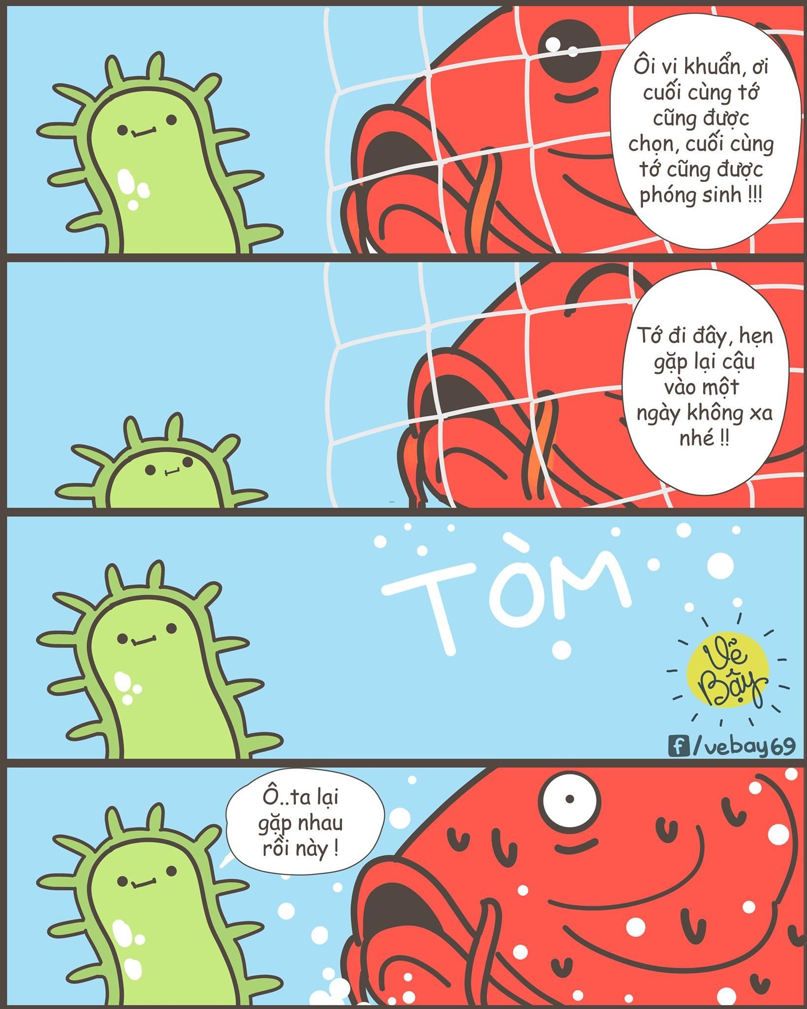 Dan mang che anh ngay tha ca chep tien ong Tao ve troi anh 7