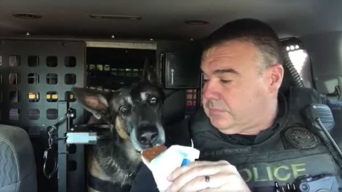 Chu cho nghiep vu duoc nghi huu sau 7 nam phuc vu hinh anh