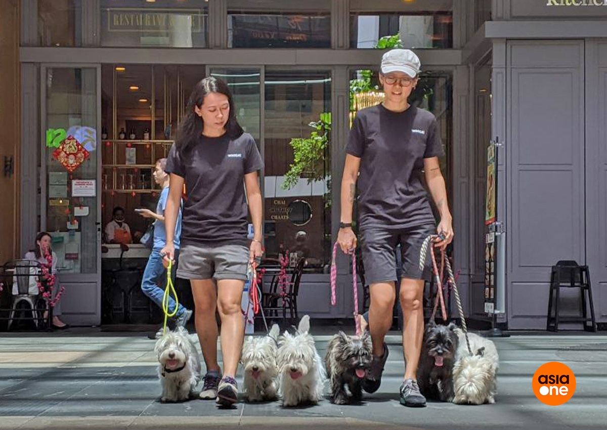 Nhung dieu thu vi cua nghe huan luyen cho hinh anh