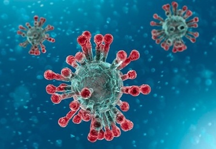 Nhung cach tang cuong kha nang mien dich hinh anh