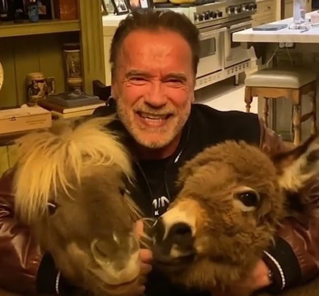 Cuu thong doc My tu cach ly o nha voi lua va ngua hinh anh