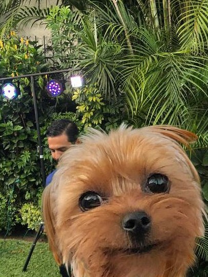 Thánh lầy photoshop tiếp tục gây cười với loạt ảnh hài hước ảnh 3 Thanh lay photoshop tiep tuc gay cuoi voi loat anh hai huoc anh 3