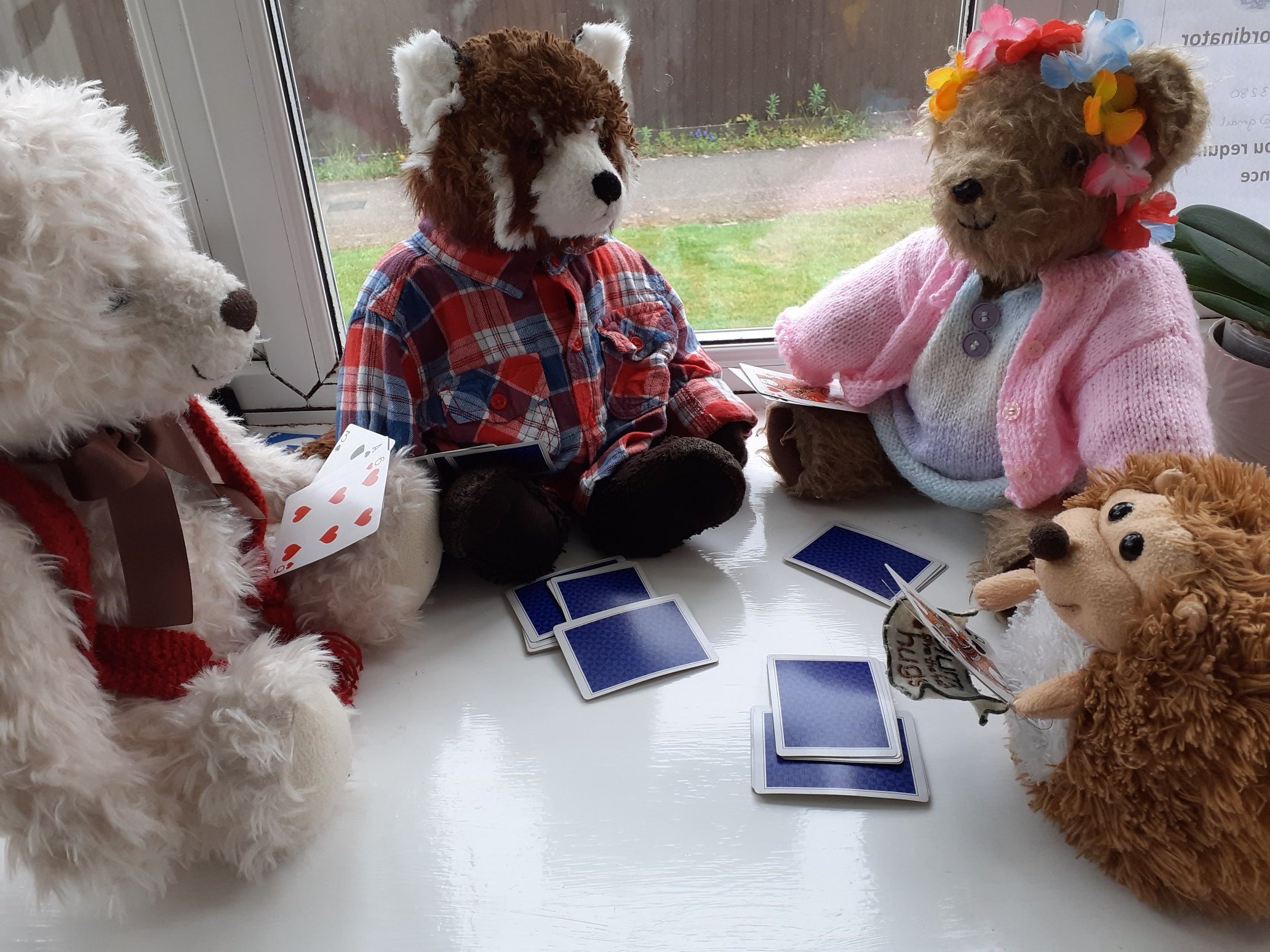 Chien dich san gau bong giup tre em vuot qua thoi gian cach ly xa hoi anh 6