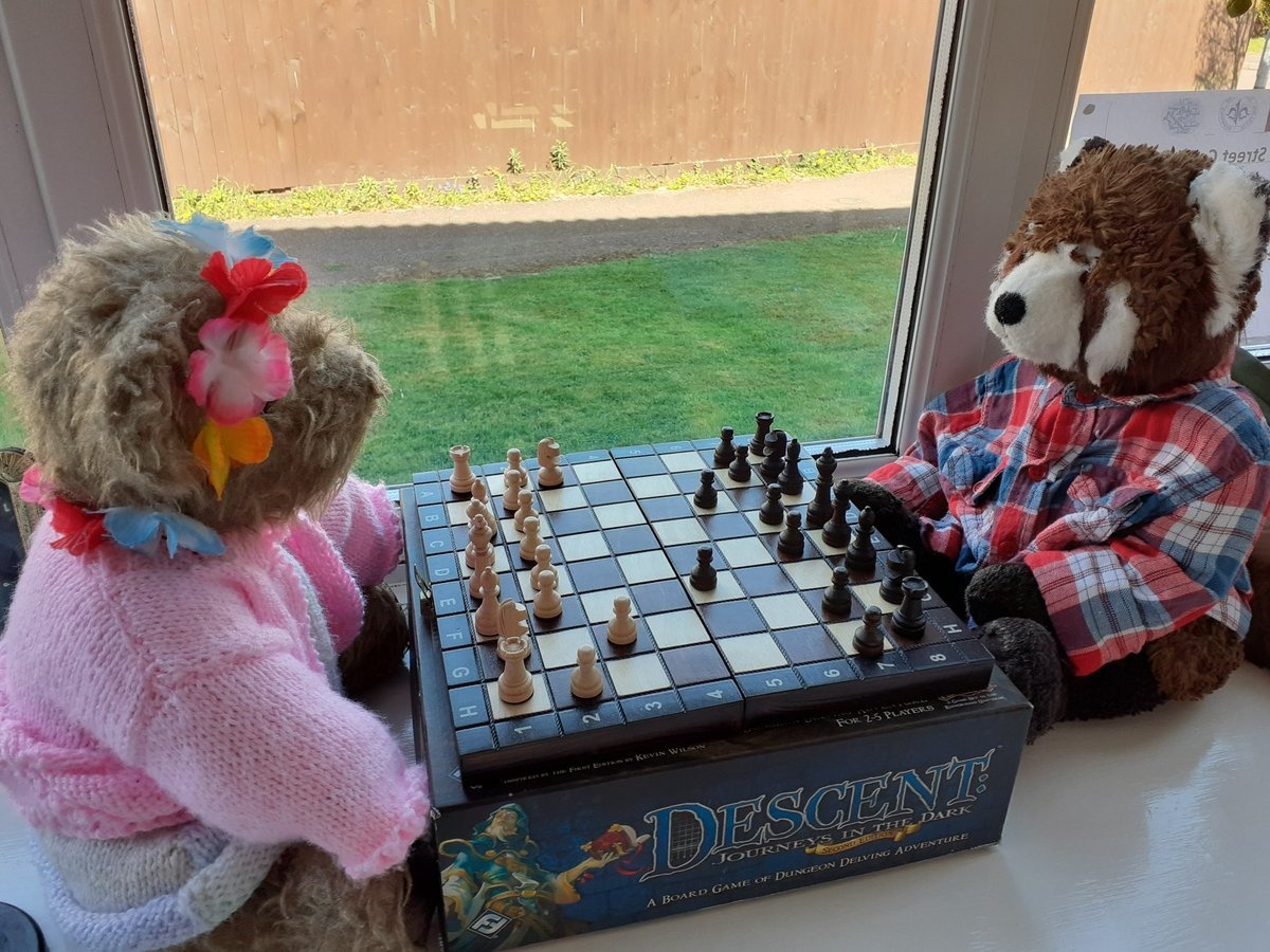 Chien dich san gau bong giup tre em vuot qua thoi gian cach ly xa hoi anh 7