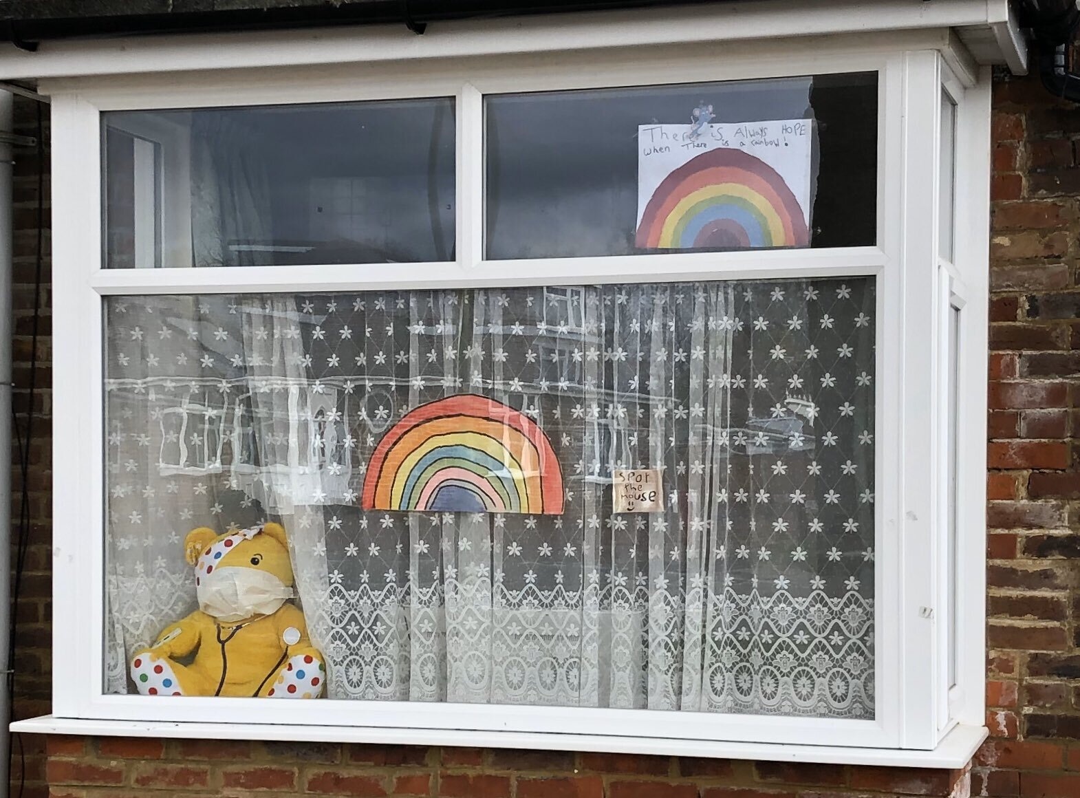 Chien dich san gau bong giup tre em vuot qua thoi gian cach ly xa hoi anh 3