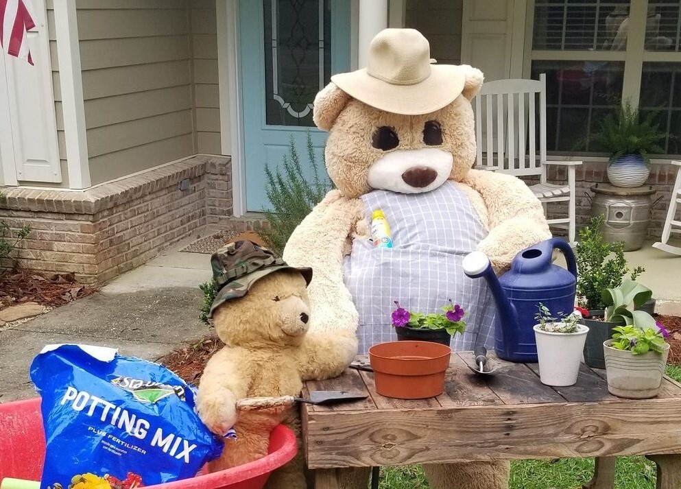 Chien dich san gau bong giup tre em vuot qua thoi gian cach ly xa hoi anh 8