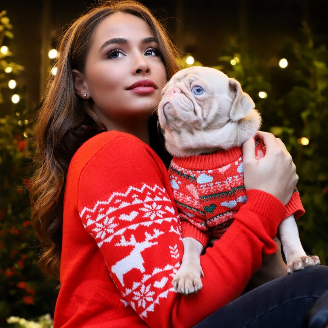 Chú chó pug gây bão với bộ lông màu hồng ảnh 4 Chu cho pug gay bao voi bo long mau hong anh 4