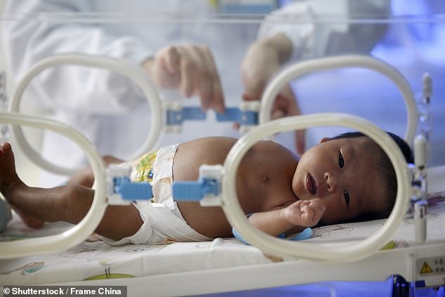 Con chết vì mẹ nghe theo lời khuyên của nhóm nuôi dạy trẻ trực tuyến ảnh 3 Con chet vi me nghe theo loi khuyen cua nhom nuoi day tre truc tuyen anh 3