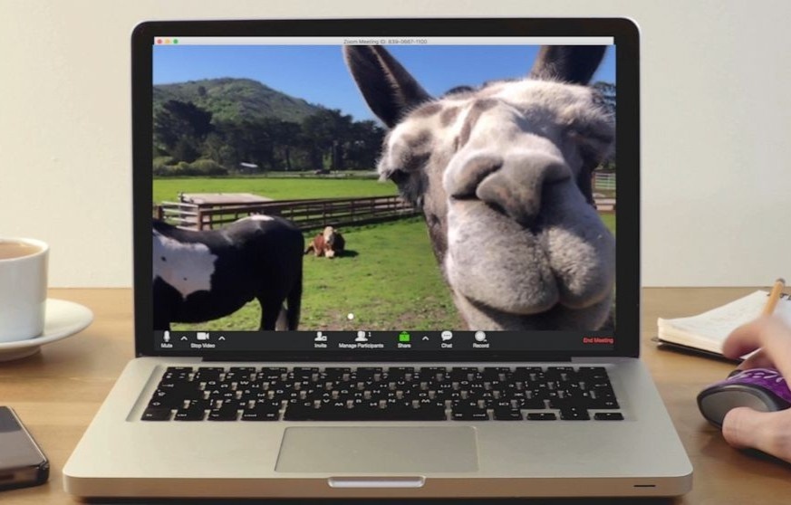 Trang trai mo dich vu goi truc tuyen voi lac da, de trong tiec hinh anh