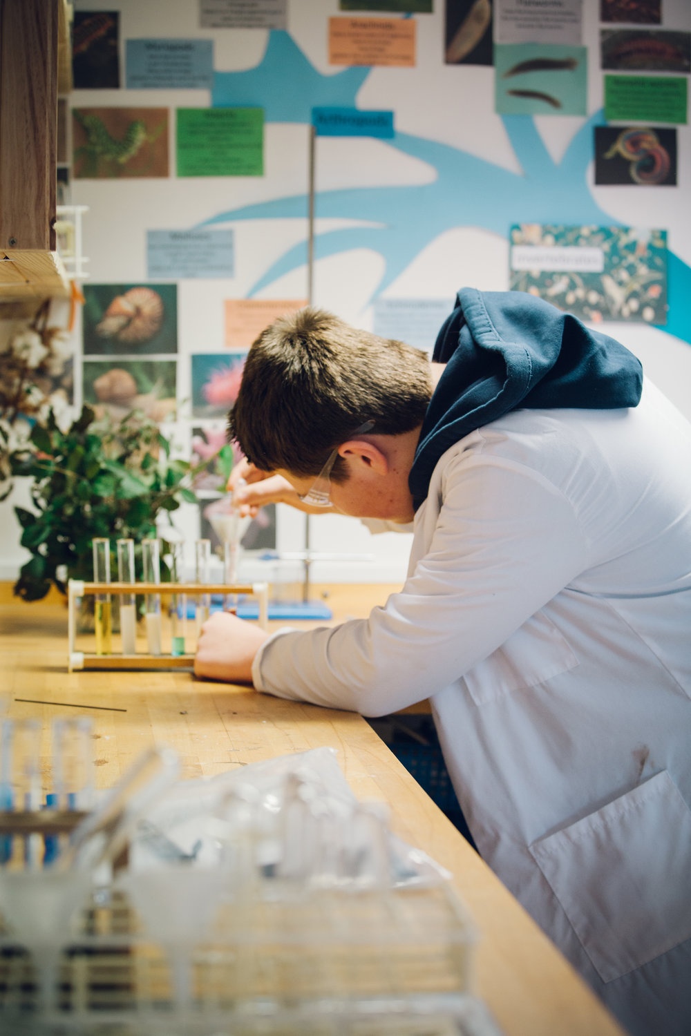 Ngôi trường dành cho trẻ em bị bắt nạt tại Anh ảnh 5 Ngoi truong danh cho tre em bi bat nat tai Anh anh 5