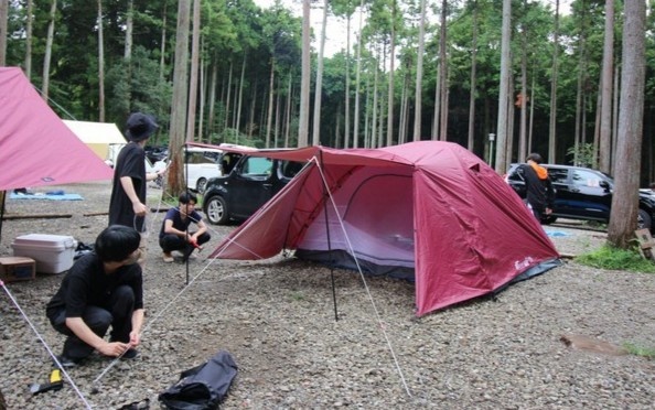 Cac khu cam trai o Nhat chat nich khach du lich vao cuoi tuan hinh anh