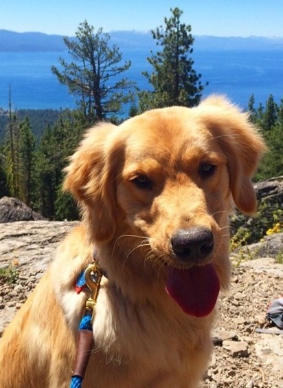 thu cung cua gioi sieu giau anh 13