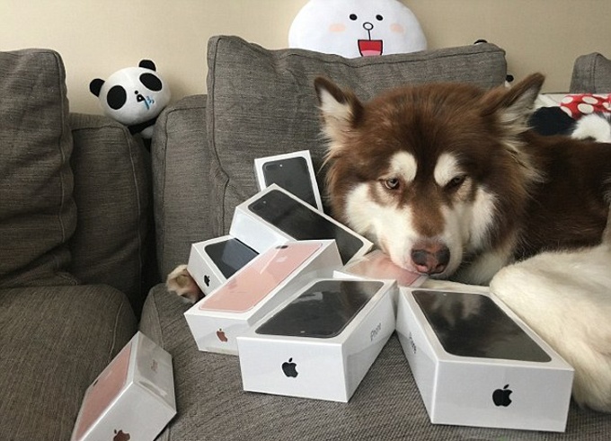 thu cung cua gioi sieu giau anh 5