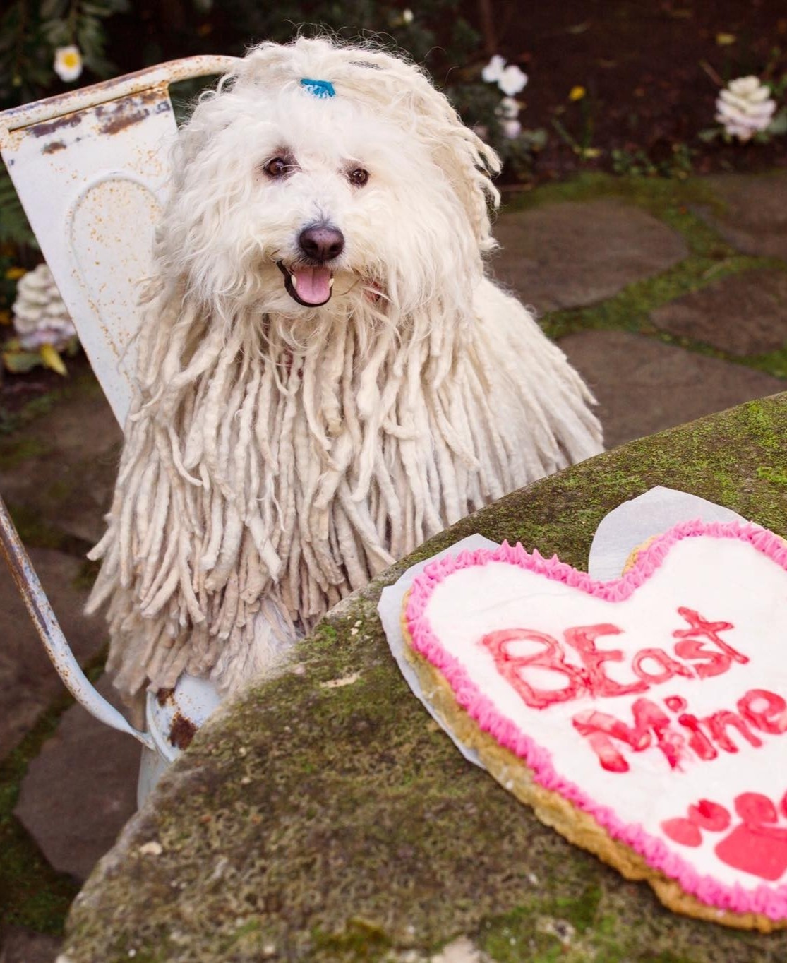 thu cung cua gioi sieu giau anh 2