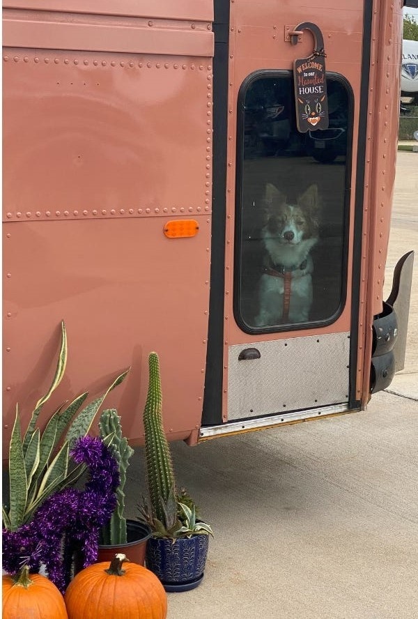 biến xe buýt cũ gần 40 tuổi thành căn nhà mơ ước ảnh 4 bien xe buyt cu gan 40 tuoi thanh can nha mo uoc anh 4