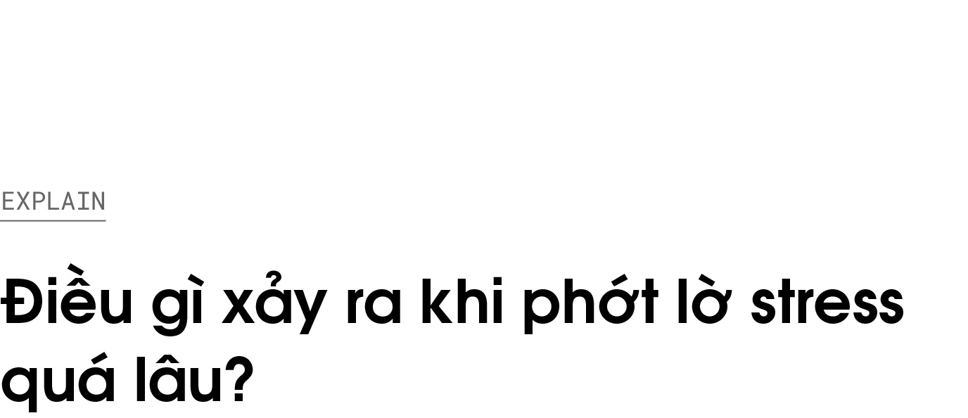Dieu gi xay ra khi phot lo stress qua lau anh 1