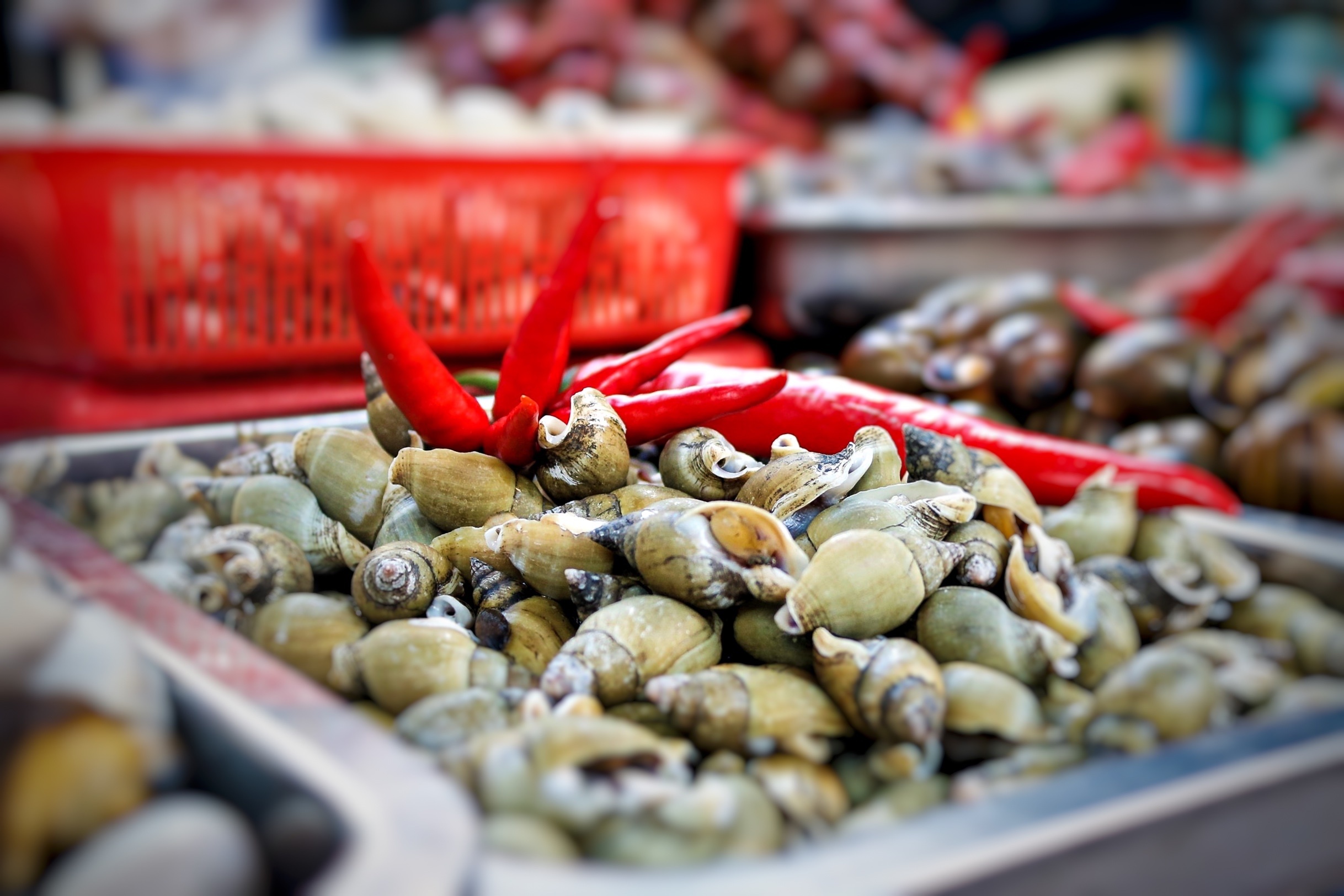 Nhiều khách quay xe ở phố ốc quận 4 vì quy định không bia rượu ảnh 4 Nhieu khach quay xe o pho oc quan 4 vi quy dinh khong bia ruou anh 4