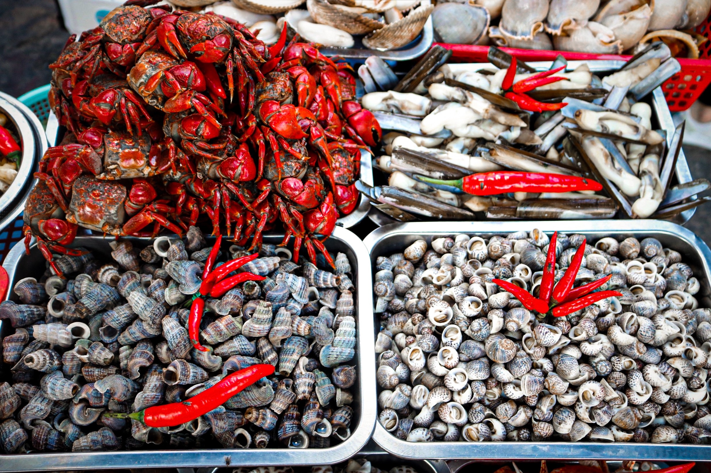 Nhiều khách quay xe ở phố ốc quận 4 vì quy định không bia rượu ảnh 5 Nhieu khach quay xe o pho oc quan 4 vi quy dinh khong bia ruou anh 5