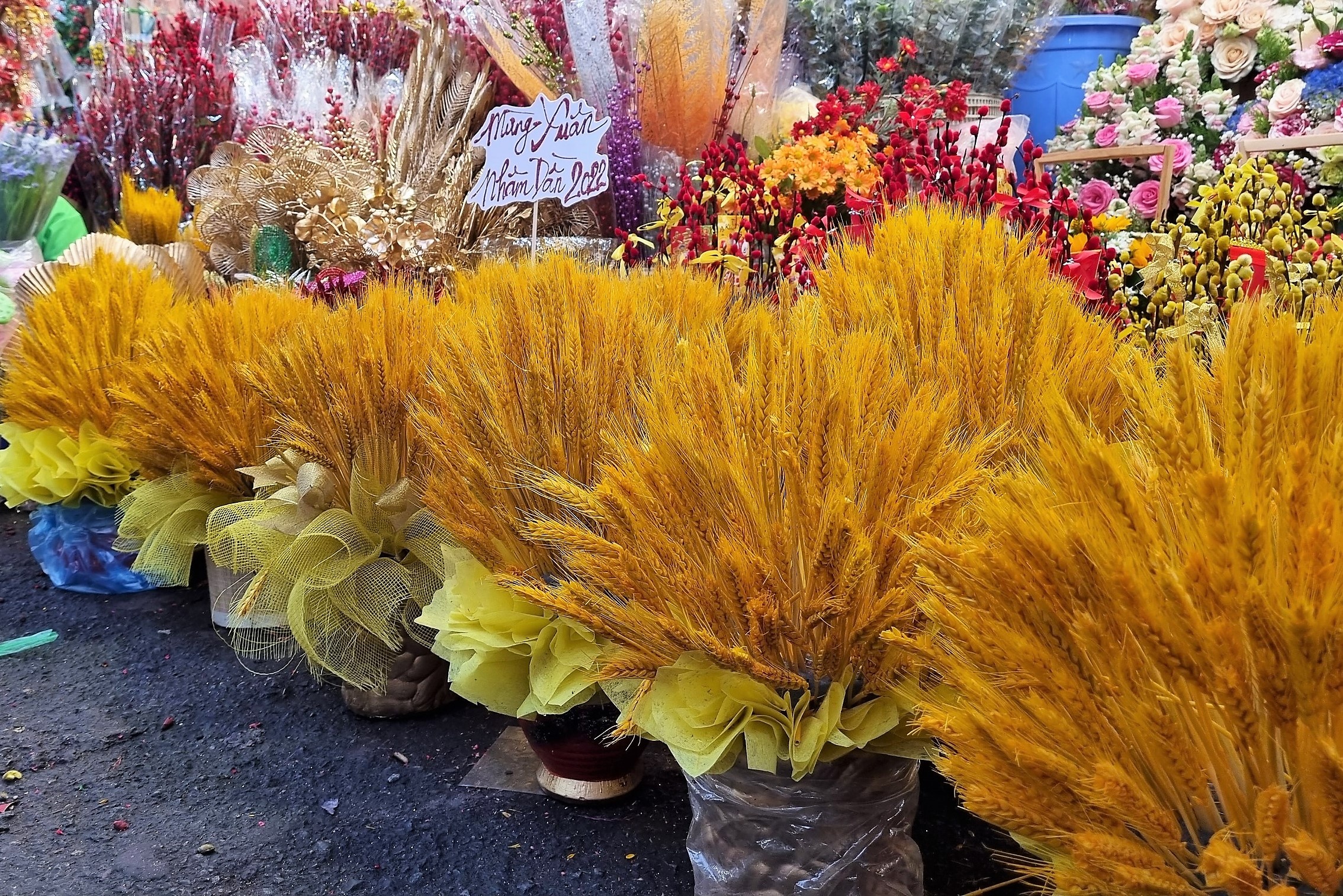 Cho hoa Ho Thi Ky tap nap dip can Tet anh 8