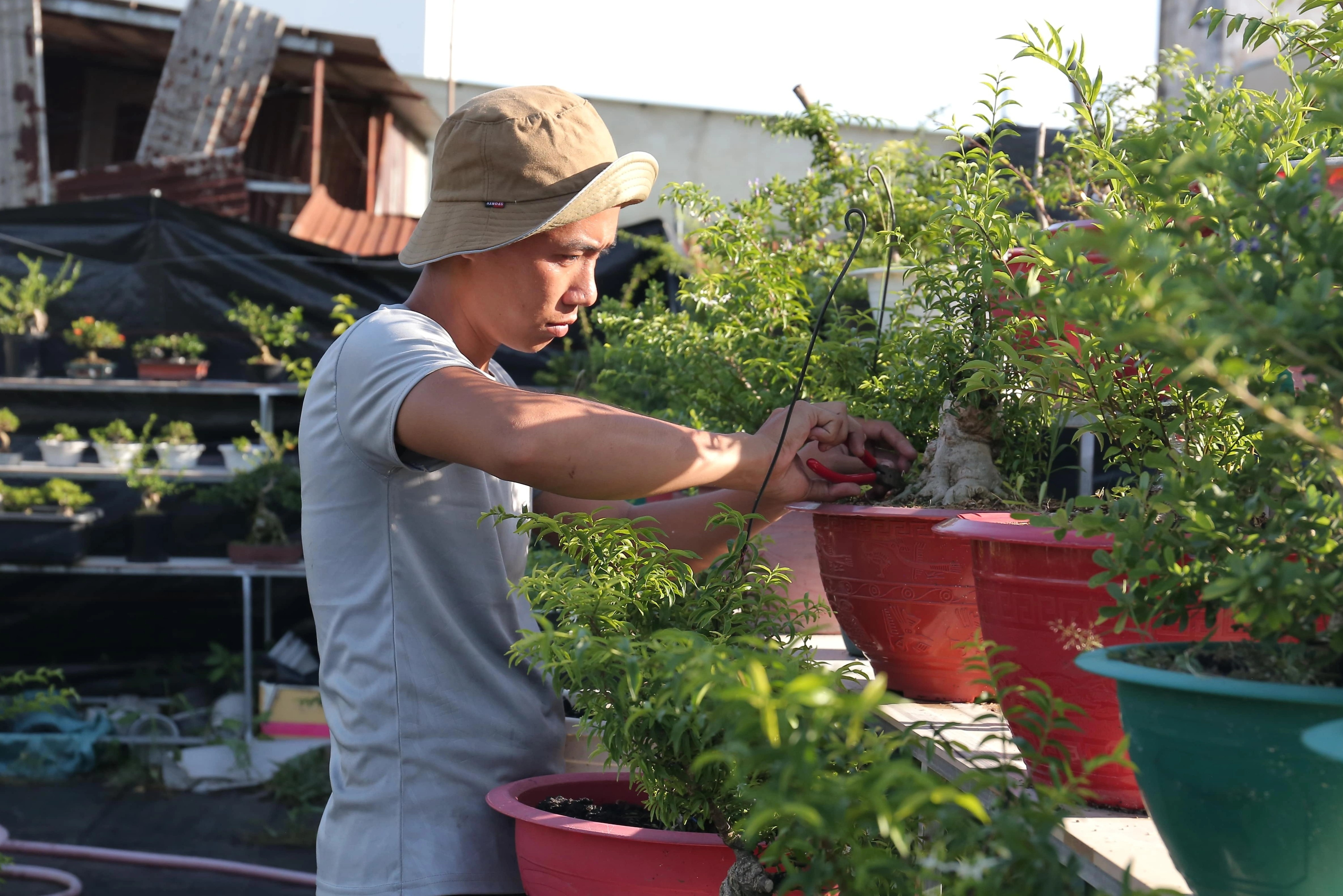 Chang trai o TP.HCM kinh doanh bonsai, thu hang chuc trieu moi thang hinh anh
