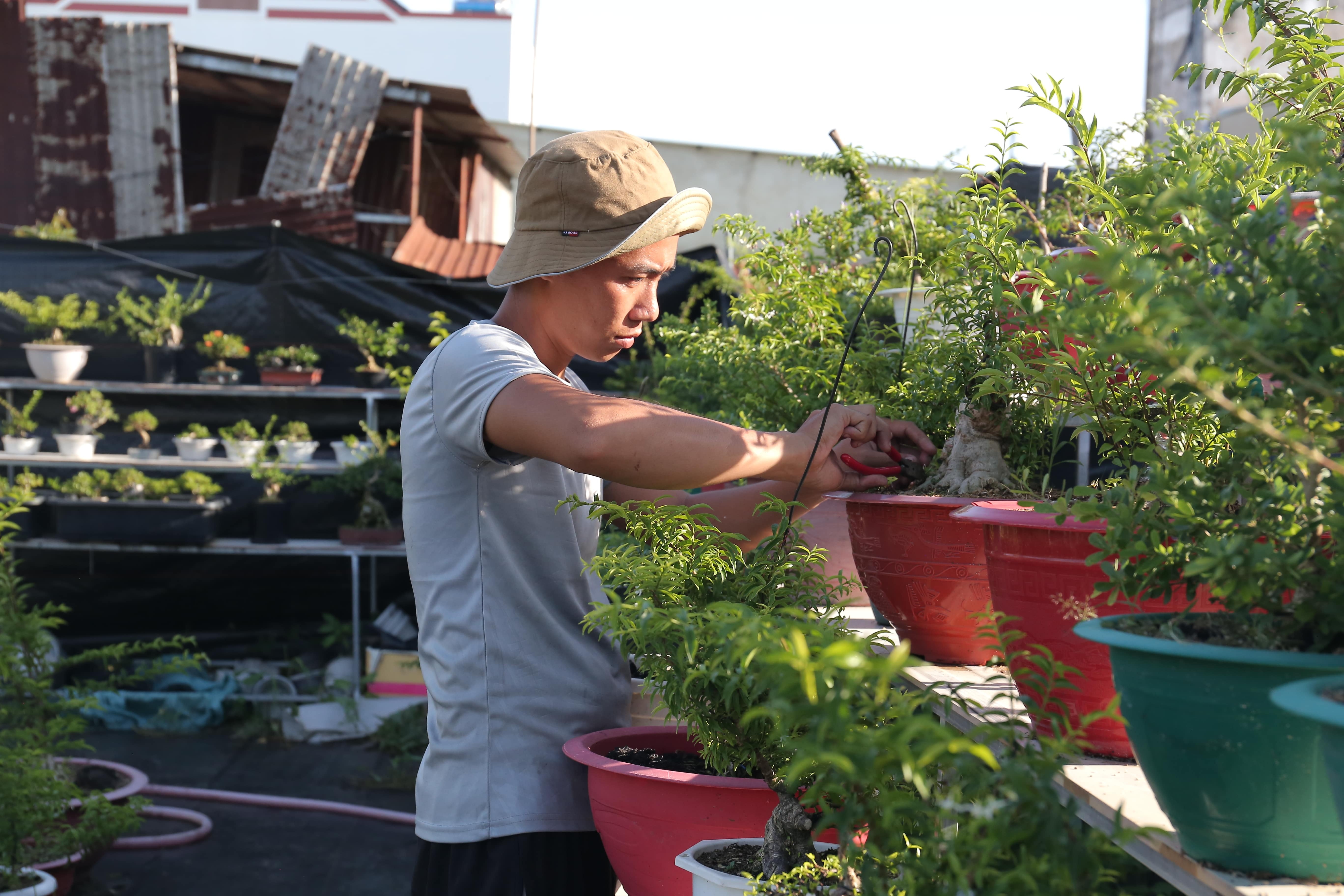 Kiem chuc trieu dong nho kinh doanh bonsai anh 1