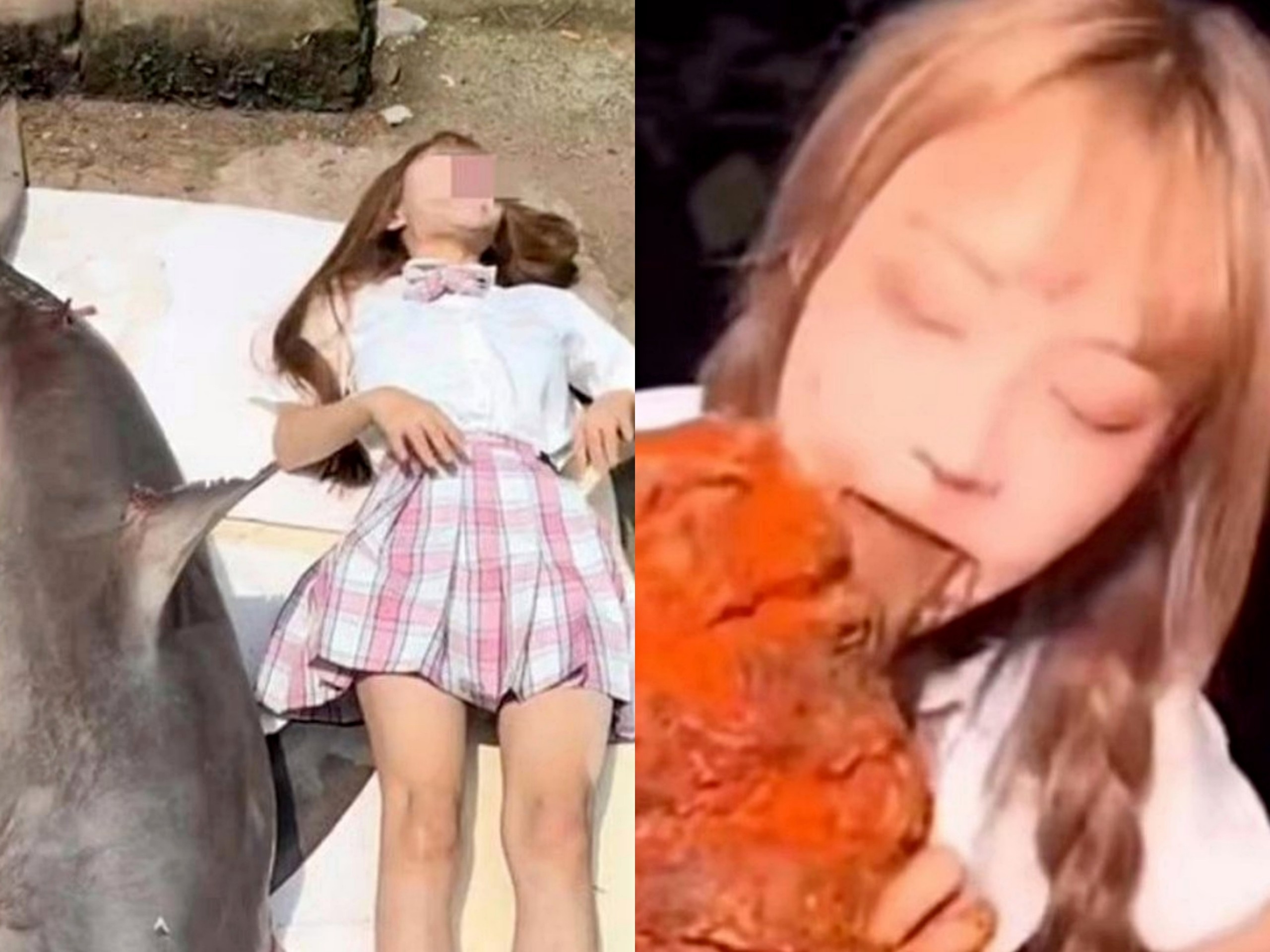 Vlogger an thit ca map trang anh 1