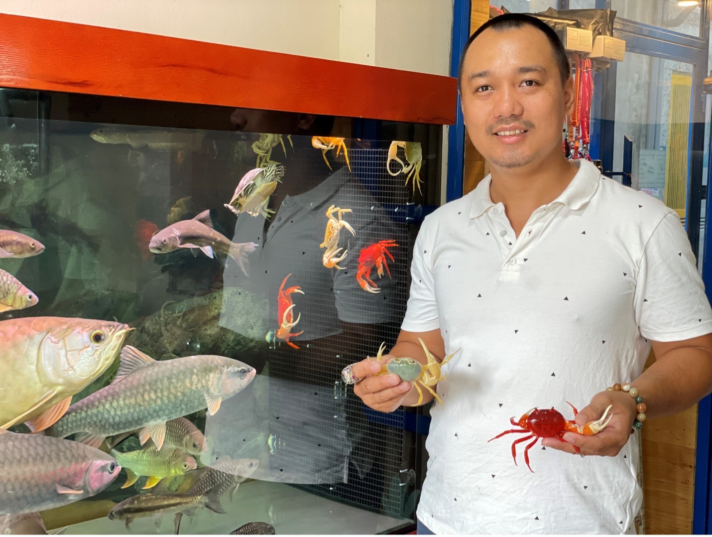 Thú chơi cua kiểng ảnh 4 Thu choi cua kieng anh 4