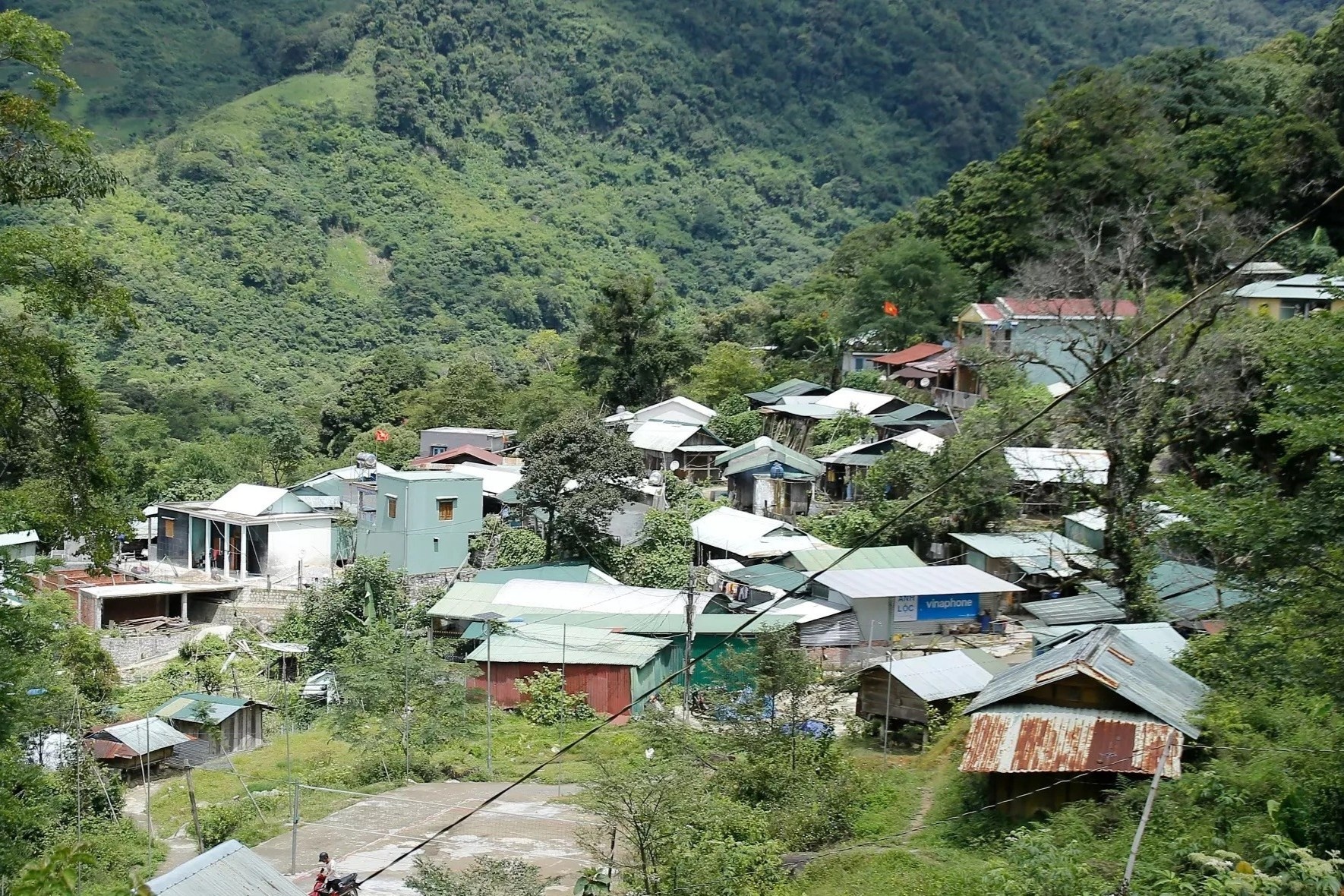 Ngoi lang tren dinh nui, dan kiem tien ty nho loai cay dat hon vang hinh anh