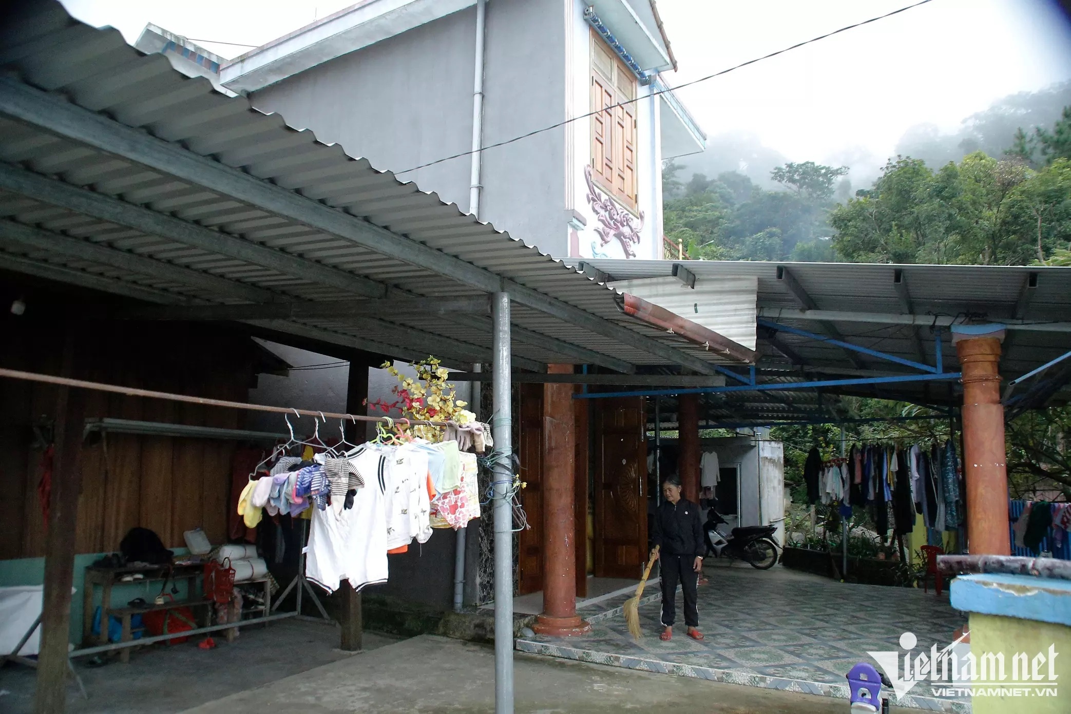 Làng trồng sâm ngọc linh ảnh 5 Lang trong sam ngoc linh anh 5