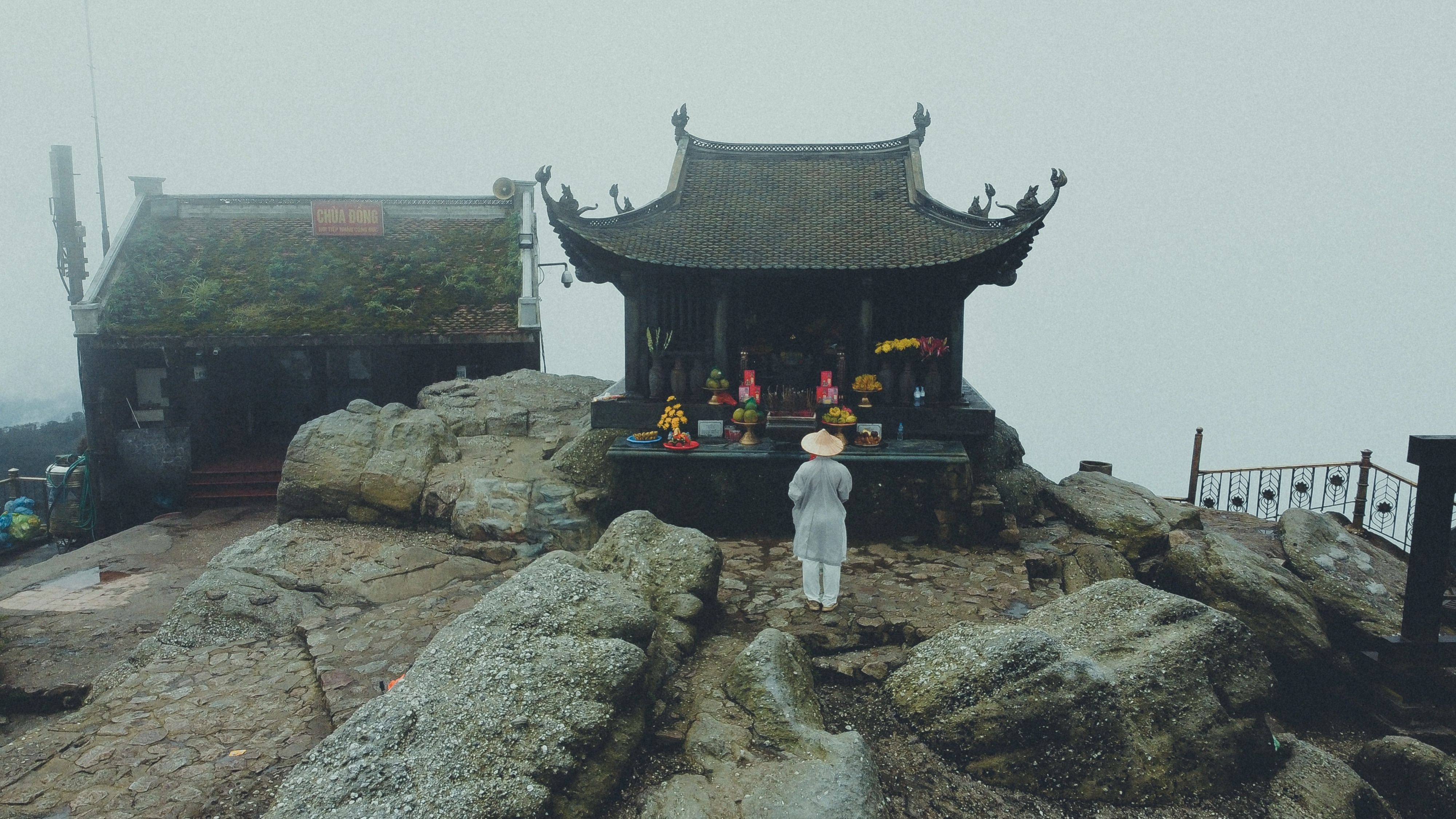 Sinh vien Harvard anh 8