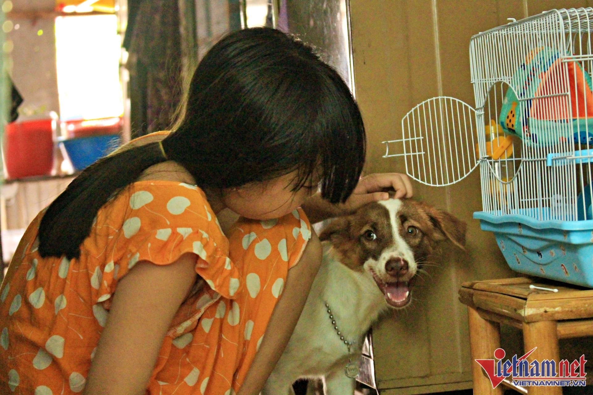Bà ngoại nuôi cháu ảnh 2 Ba ngoai nuoi chau anh 2