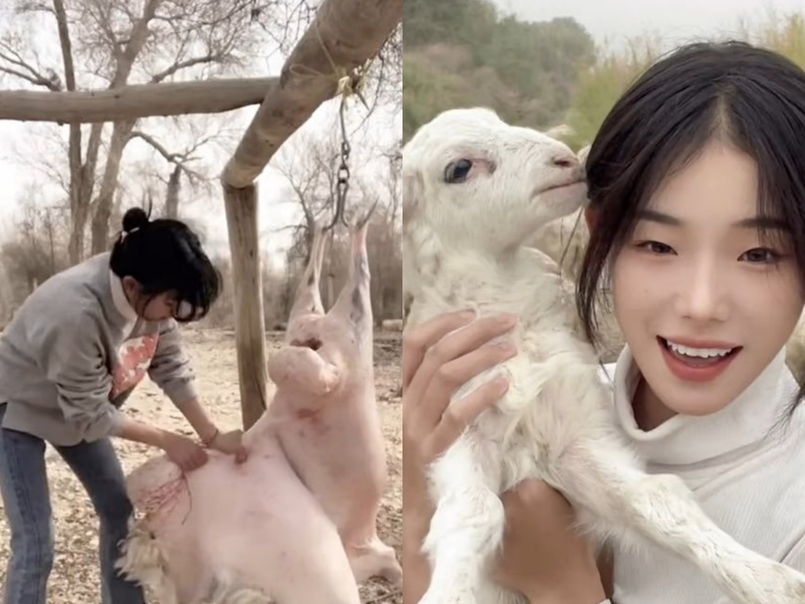 sao mang trung quoc anh 1