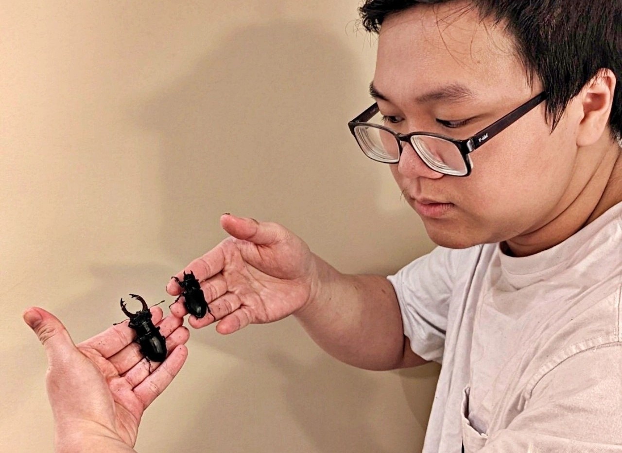 Chi hang chuc trieu dong mua con trung lam thu cung hinh anh