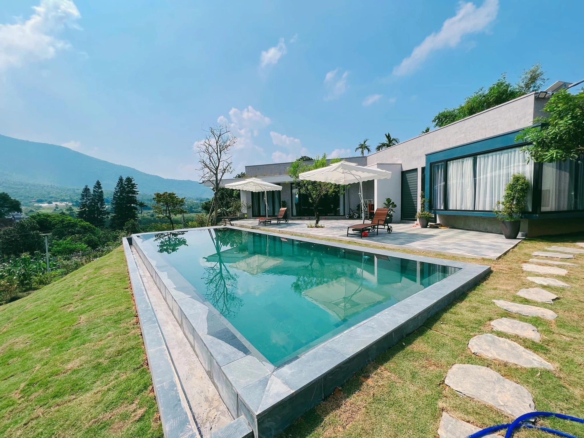 bo pho ve rung anh 1