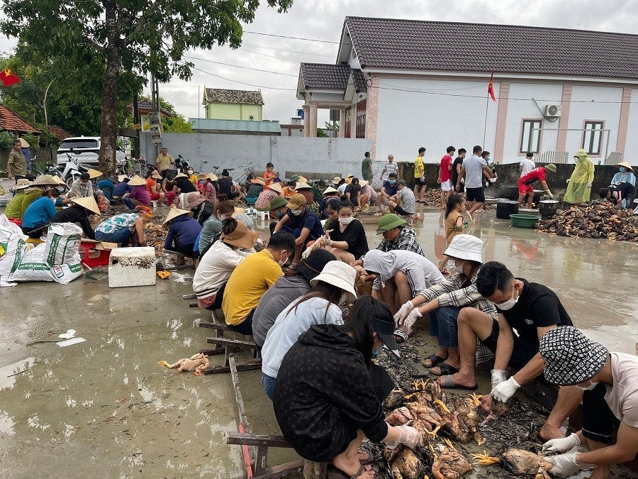 mưa lũ ở Nghệ An ảnh 1 mua lu o Nghe An anh 1