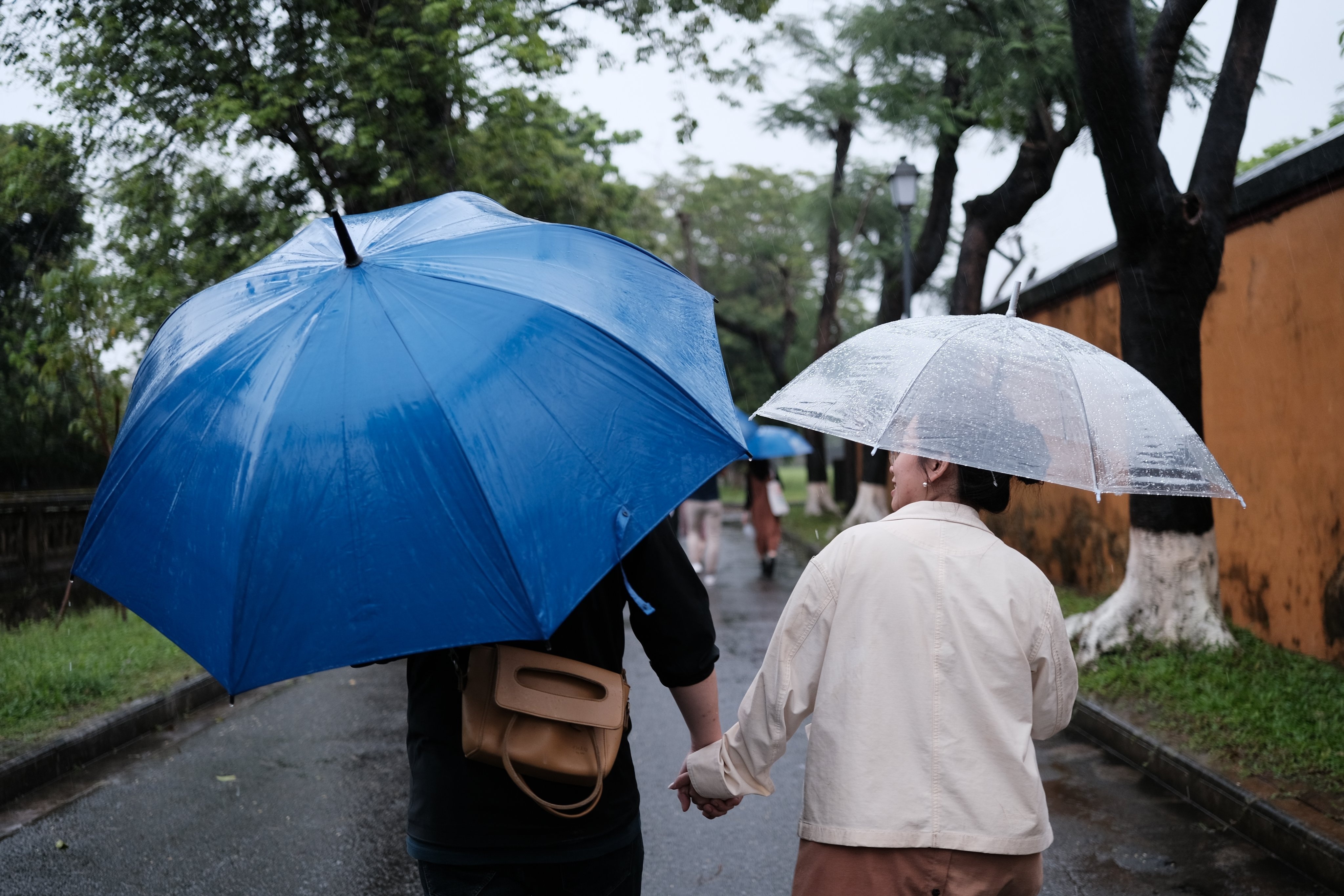 Dau tu dam cuoi anh 1