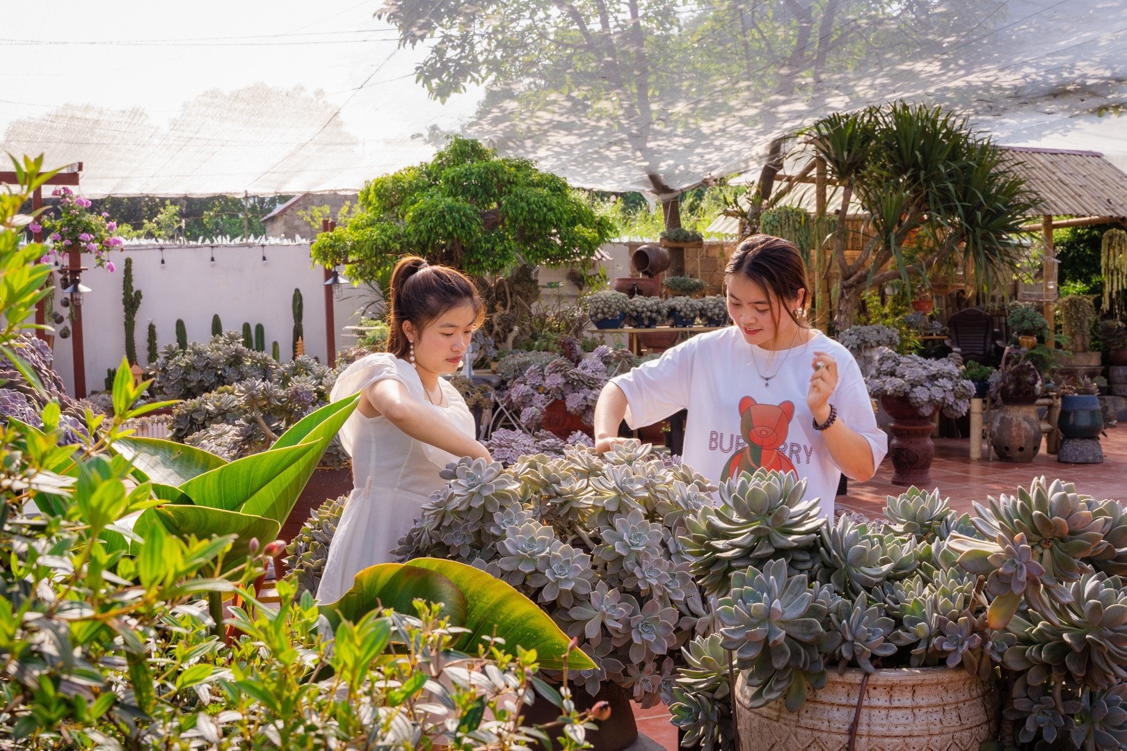 Thu choi khien co gai san sang chi tien, di tram km de thoa dam me hinh anh