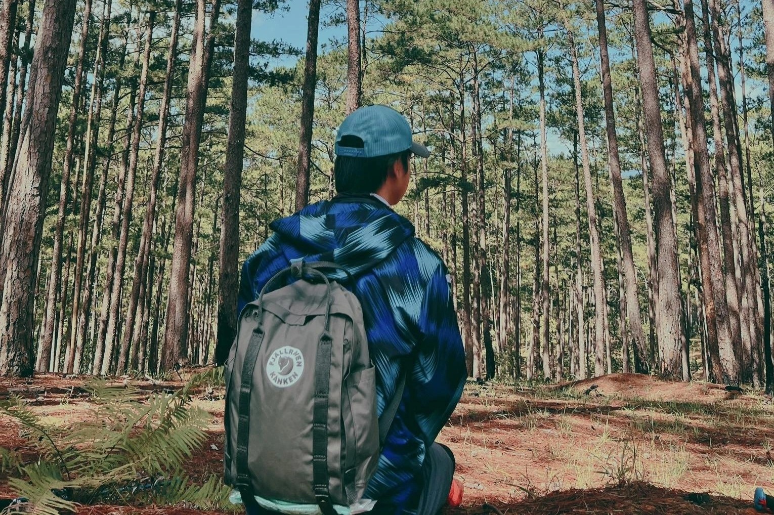 cong viec mua tet anh 1