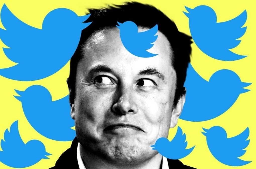 Elon Musk khien thung lung Silicon phai chia phe hinh anh